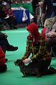 Crufts2011_2 916